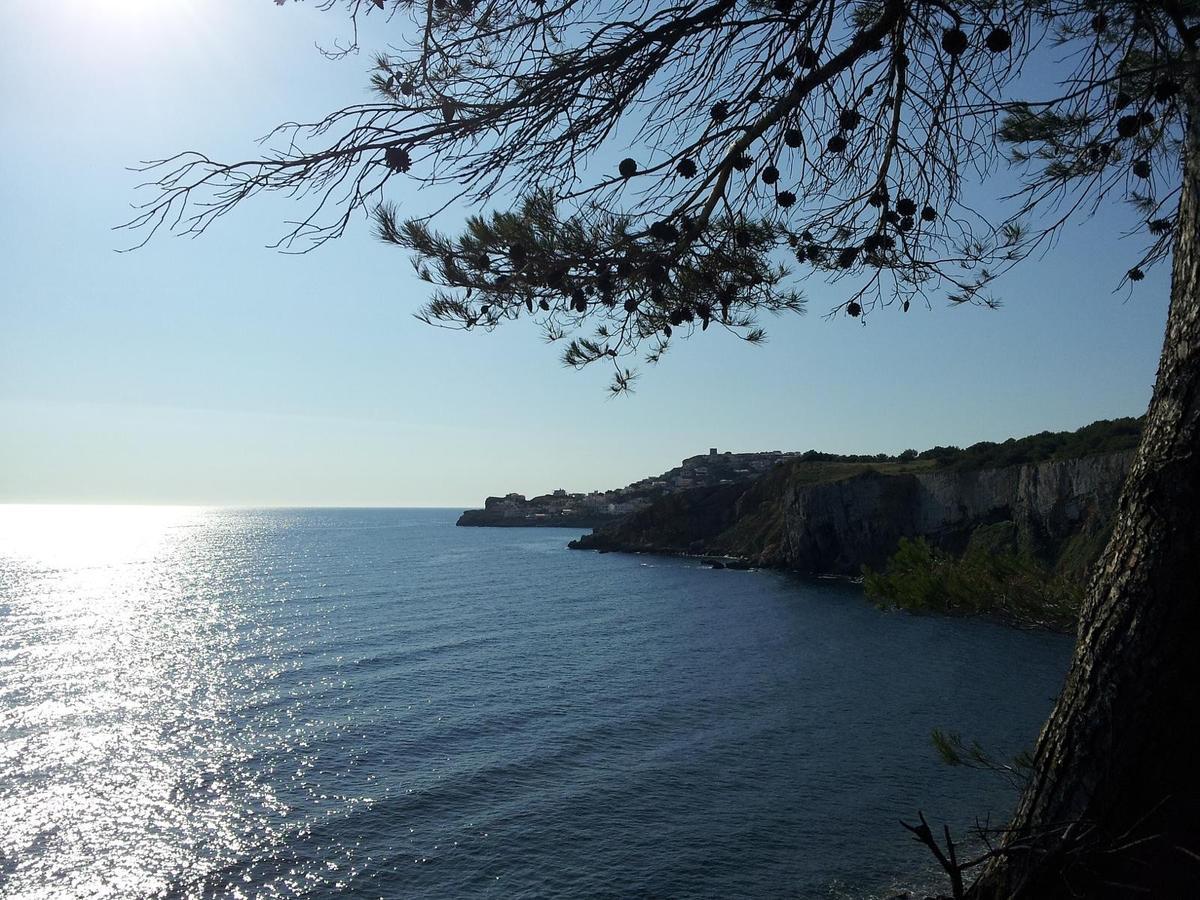 Mar Blau L'Escala Apartment Екстериор снимка